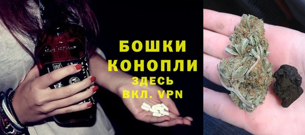 стафф Богородицк