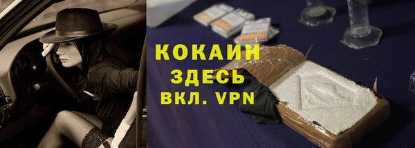 стафф Богородицк