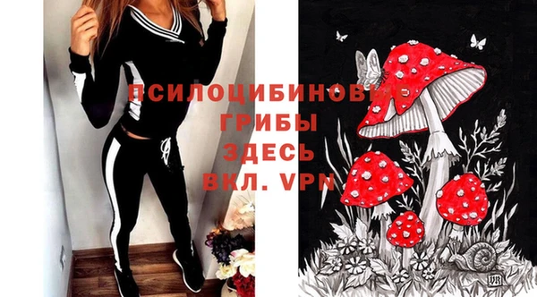 стафф Богородицк