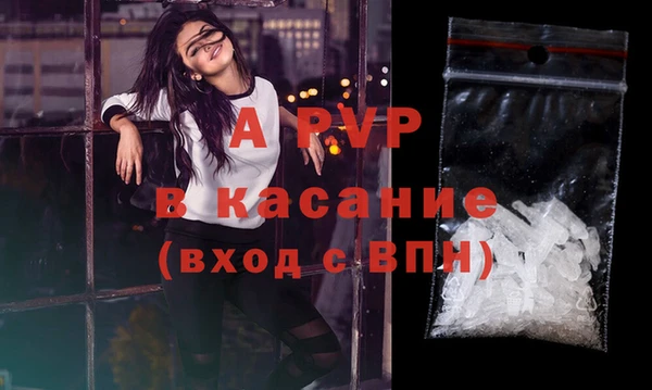 стафф Богородицк