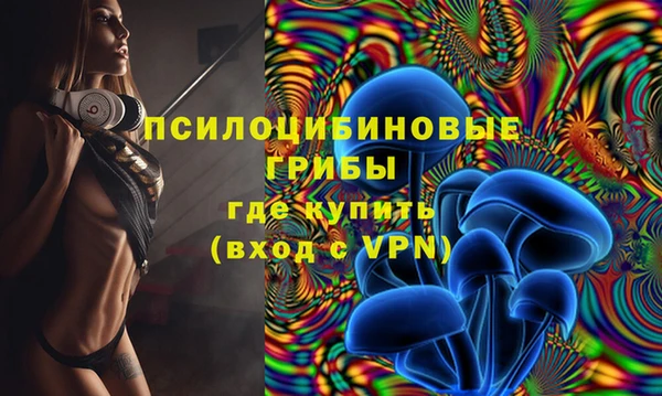 стафф Богородицк