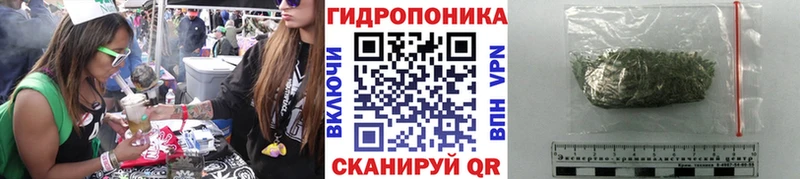 Бошки марихуана AK-47  как найти закладки  Малоярославец 